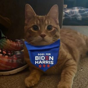 Meet your Posher, Chloe